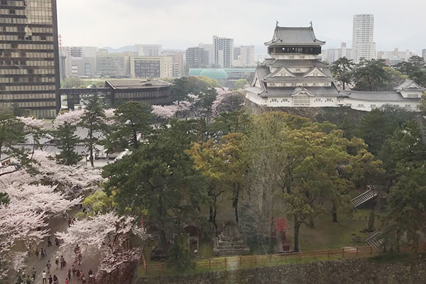 小倉城の桜