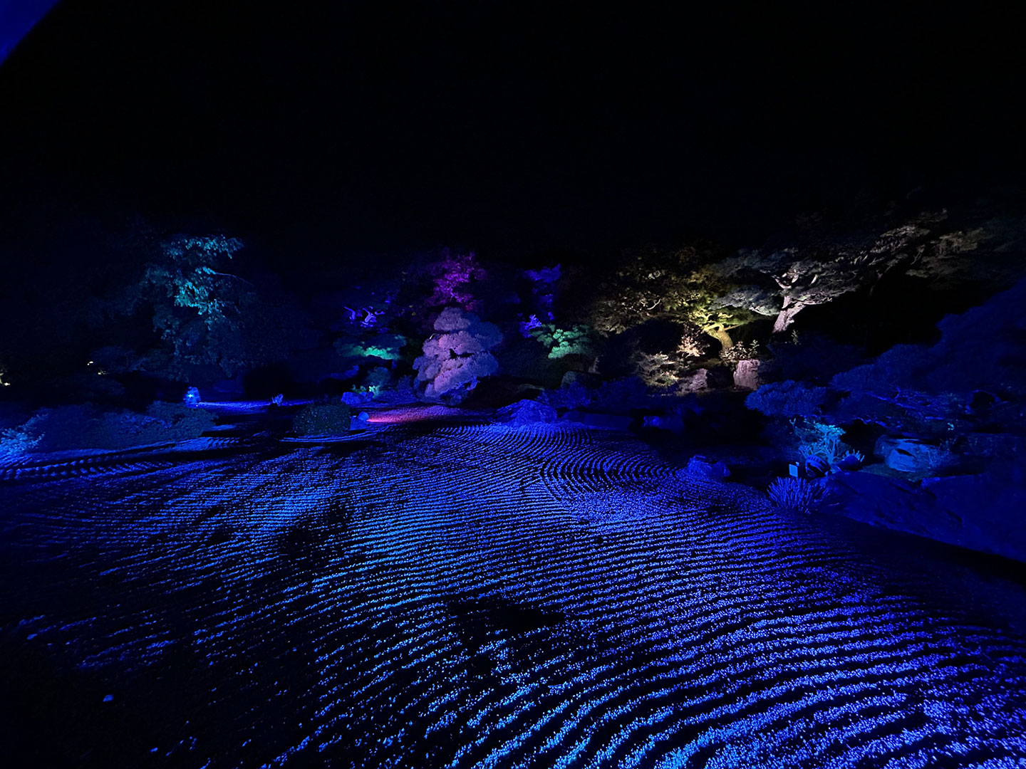 福岡大樹LC・福岡ノーマライゼーションLC 合同例会 報告