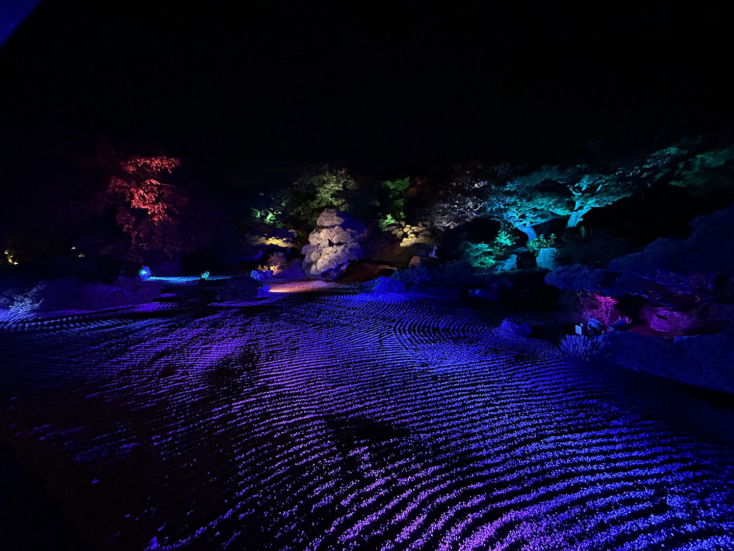 福岡大樹LC・福岡ノーマライゼーションLC 合同例会 報告